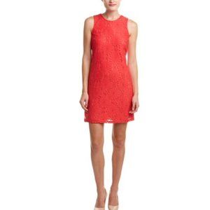 NWT Cece Arlington Floral Lace Shift Dress 12